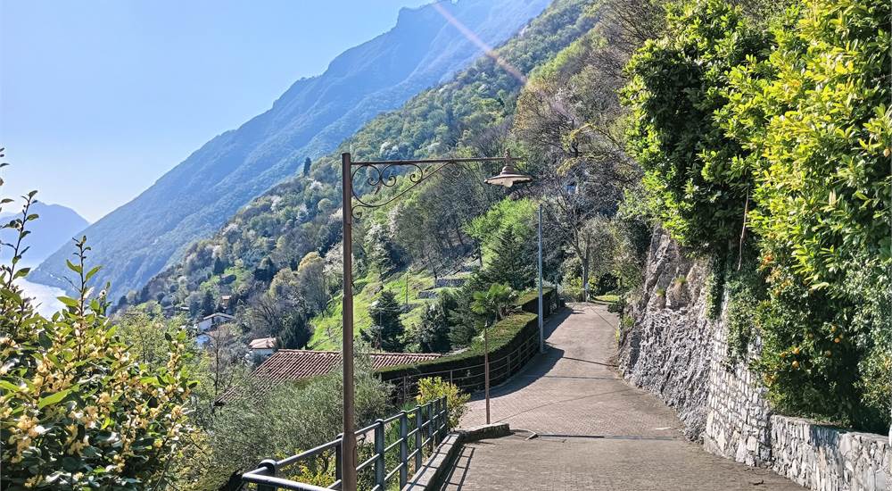 CORSELLO